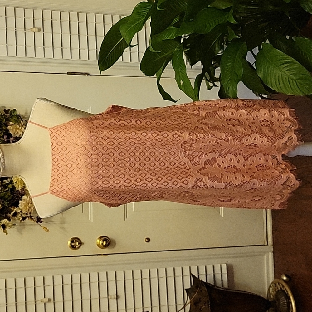 Speechless pink lace dress spaghetti strap sleeveless lined fringe hem XL EUC …